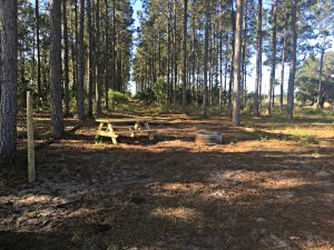 Adams Landing – Site 6 (camp site measures 50’x25’)

